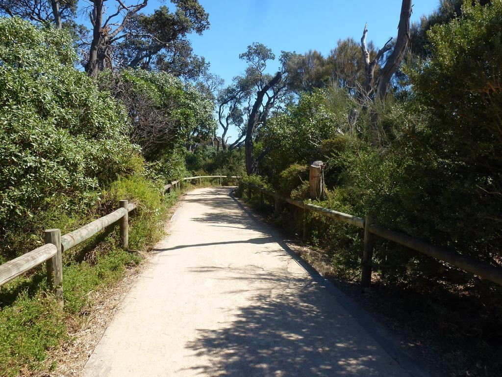 Dromana Beach Getaway Rom bilde